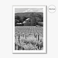 Napa Valley Black and White Fine Art Photo Print, Vineyards California Poster