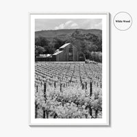 Napa Valley Black and White Fine Art Photo Print, Vineyards California Poster
