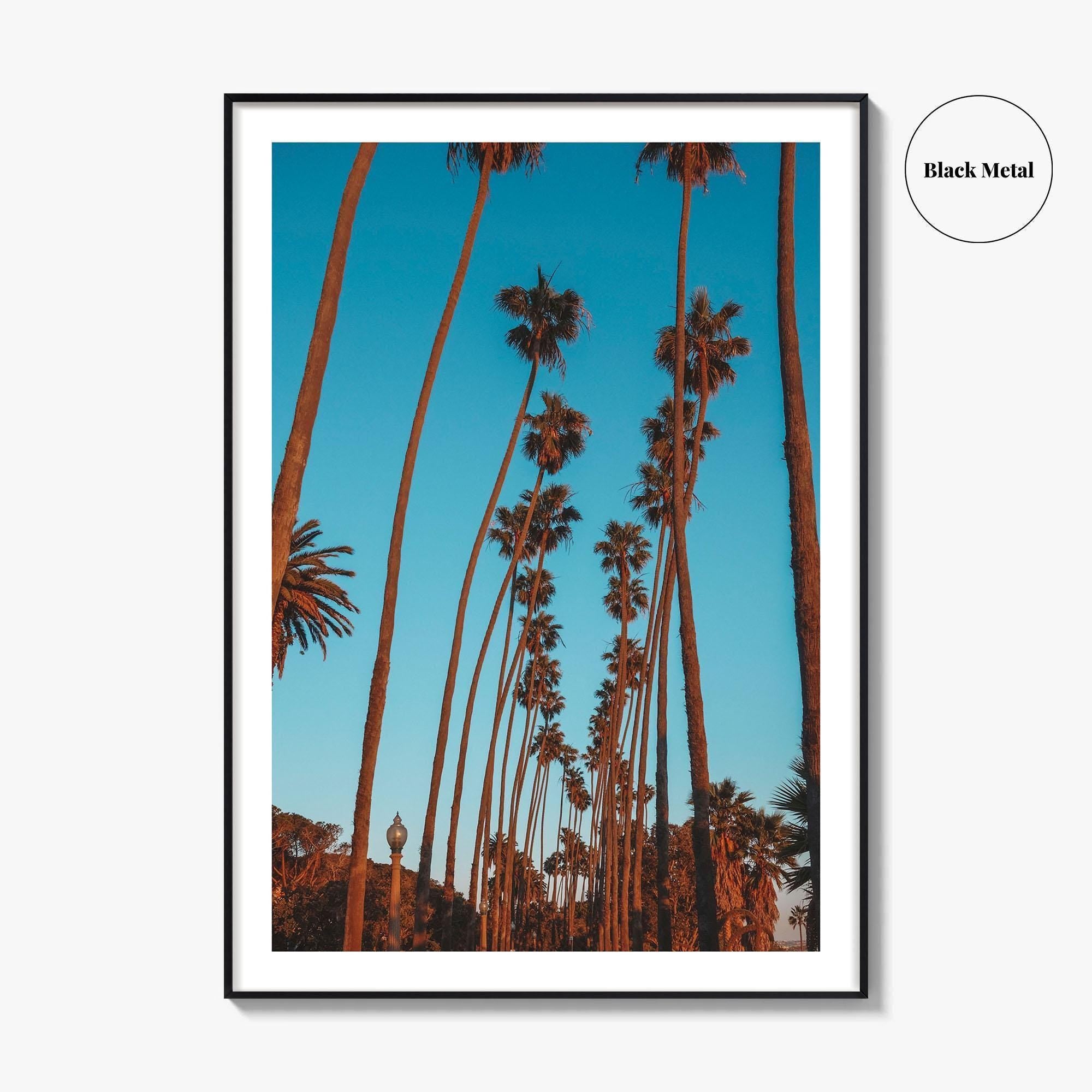 Pacific Palisades Fine Art Photo Print, Los Angeles, California, USA, Palms Poster