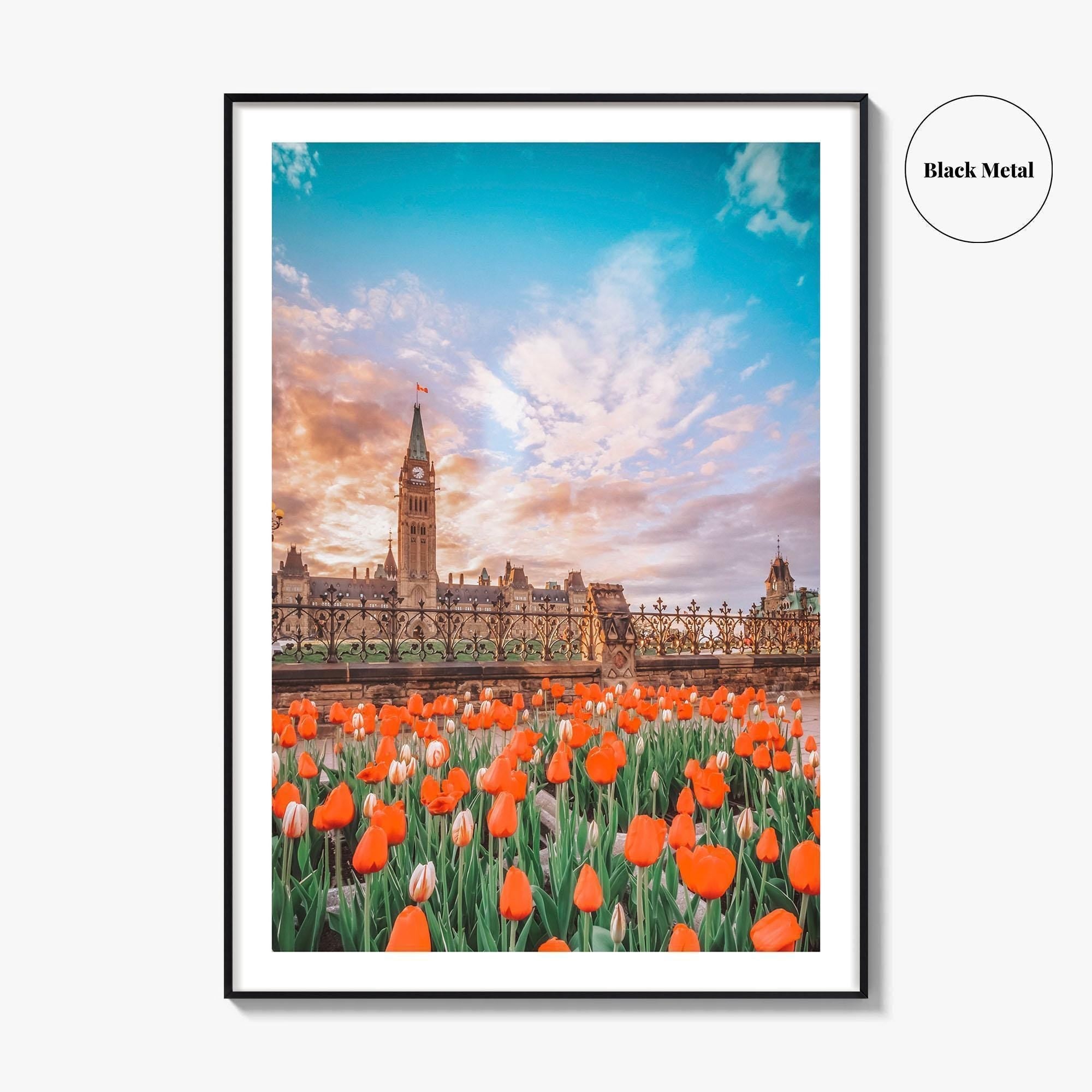 Ottawa Fine Art Photo Print, Parliament Hill, Canada, Ontario, Tulip Festival, Wall Decor