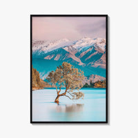 New Zealand Fine Art Photo Print, That Wanaka Tree, South Island Wall Poster