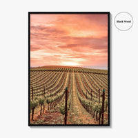 Napa Valley Fine Art Photo Print, Napa California Wine Country, Vineyards Mountains Poster