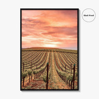 Napa Valley Fine Art Photo Print, Napa California Wine Country, Vineyards Mountains Poster