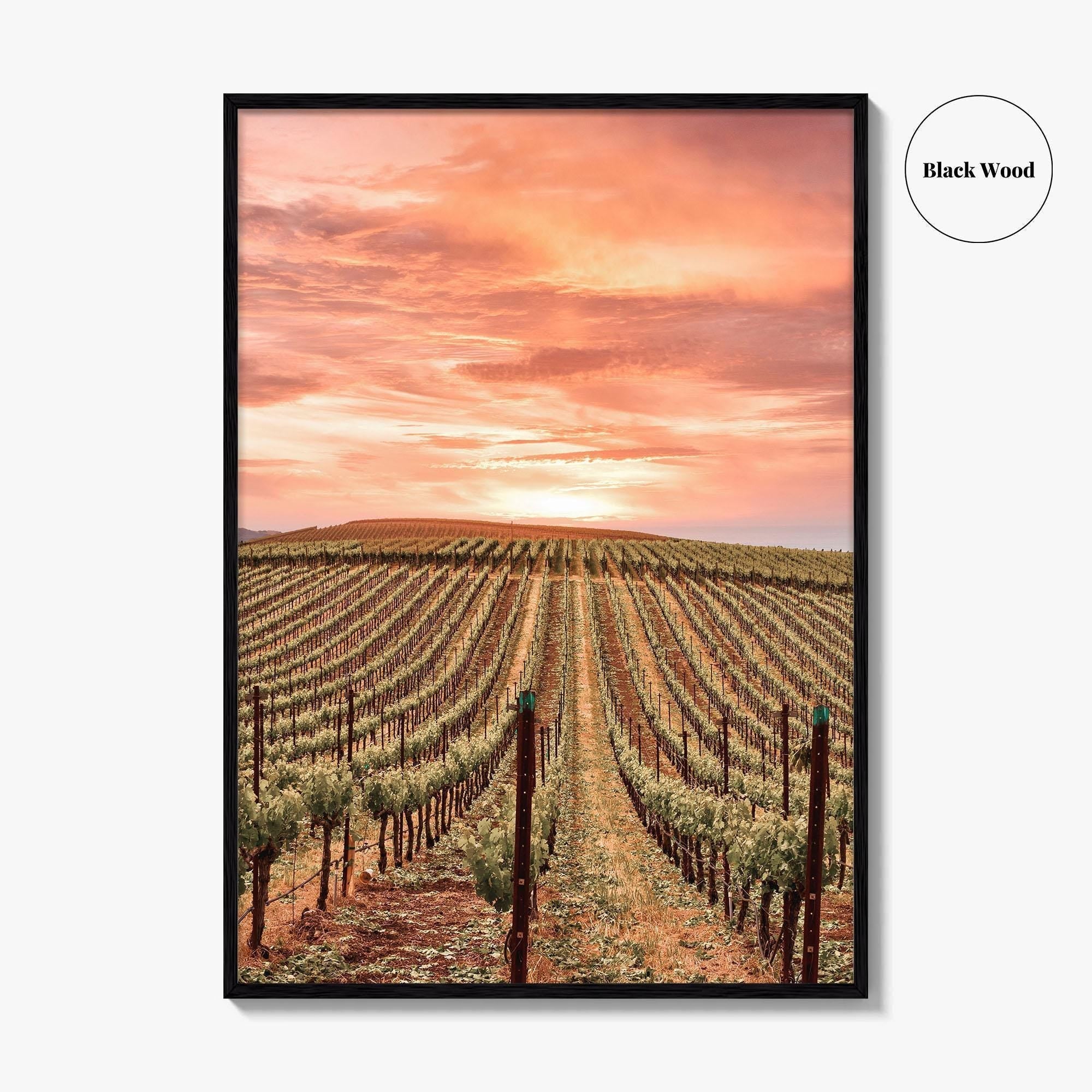 Napa Valley Fine Art Photo Print, Napa California Wine Country, Vineyards Mountains Poster