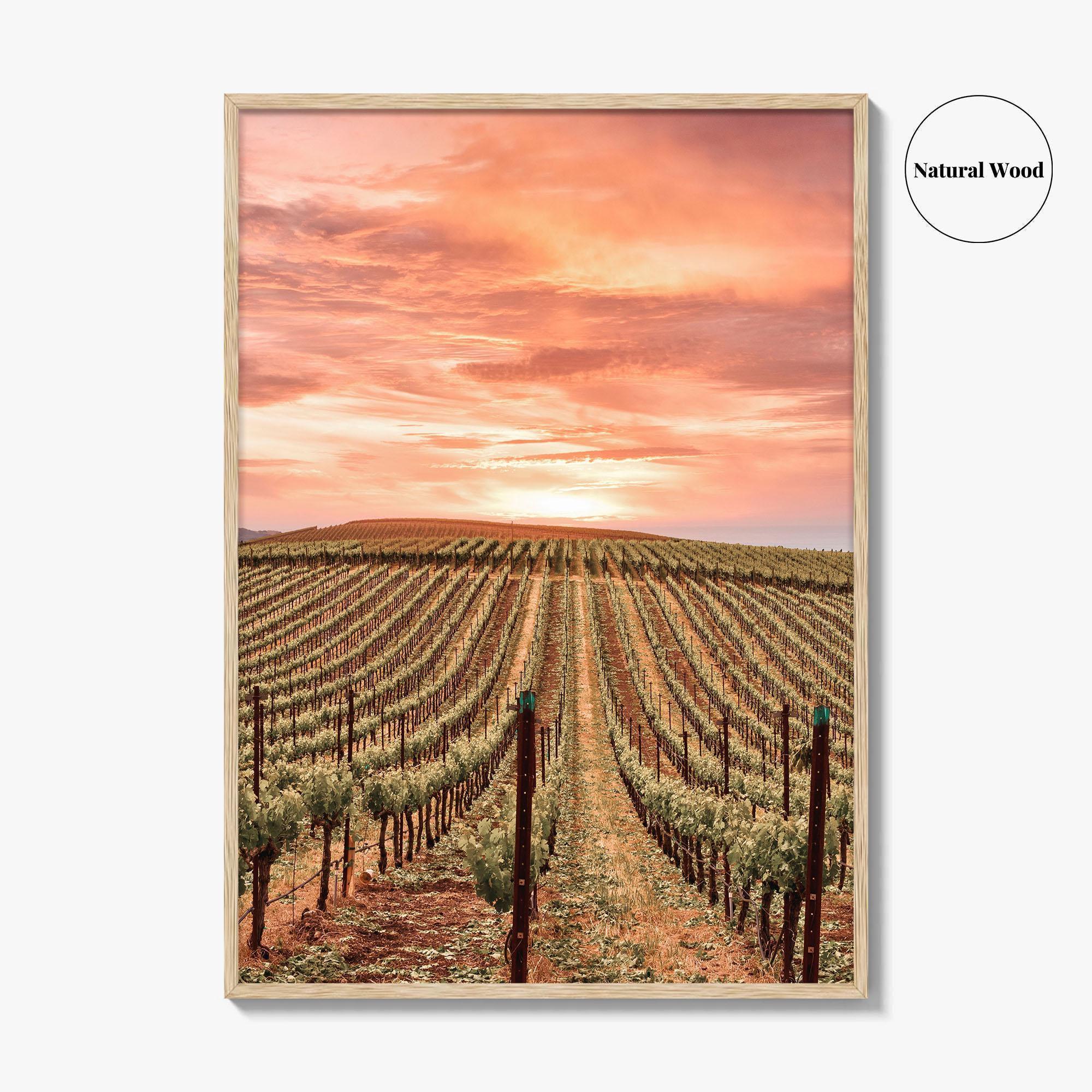 Napa Valley Fine Art Photo Print, Napa California Wine Country, Vineyards Mountains Poster