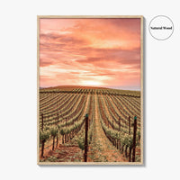 Napa Valley Fine Art Photo Print, Napa California Wine Country, Vineyards Mountains Poster