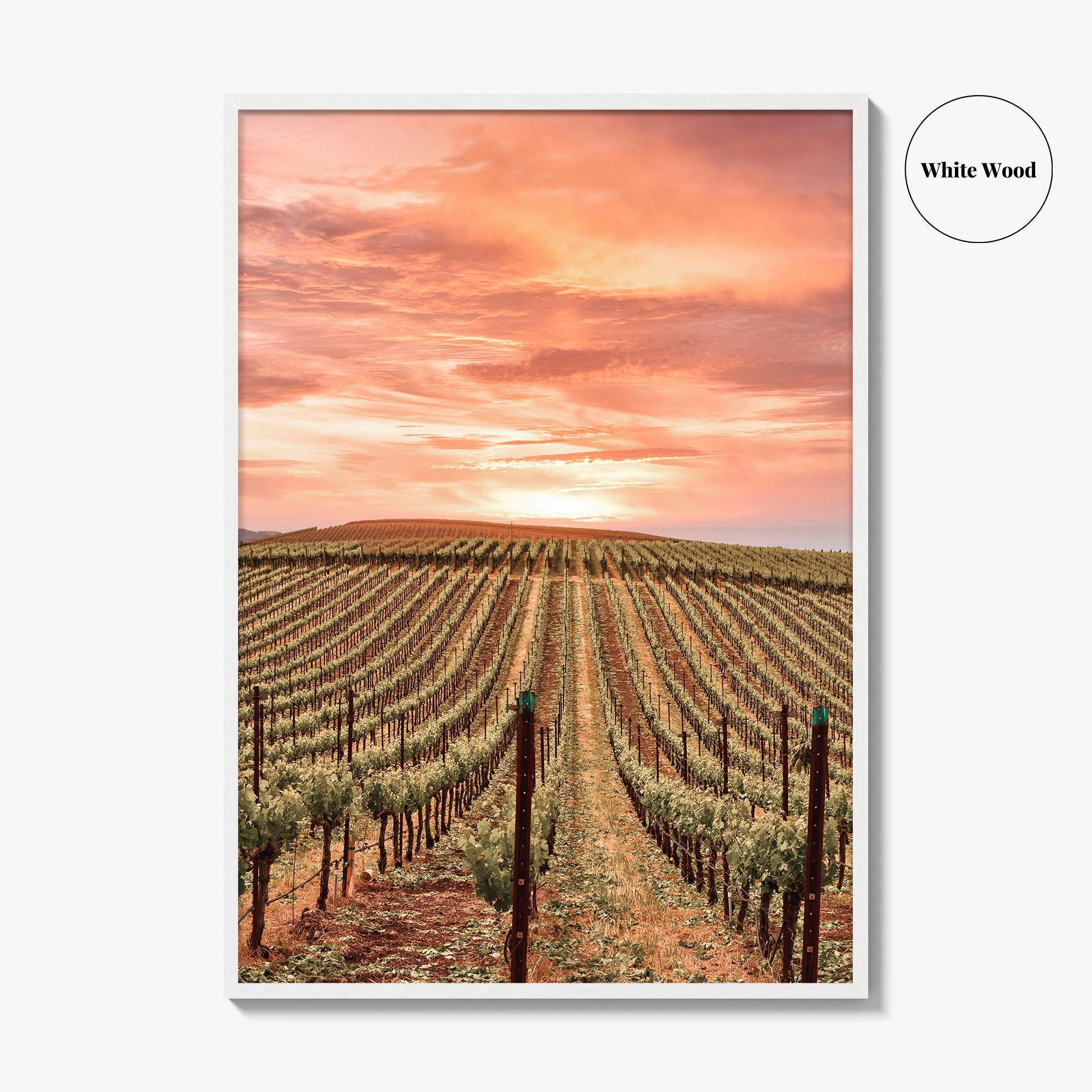 Napa Valley Fine Art Photo Print, Napa California Wine Country, Vineyards Mountains Poster