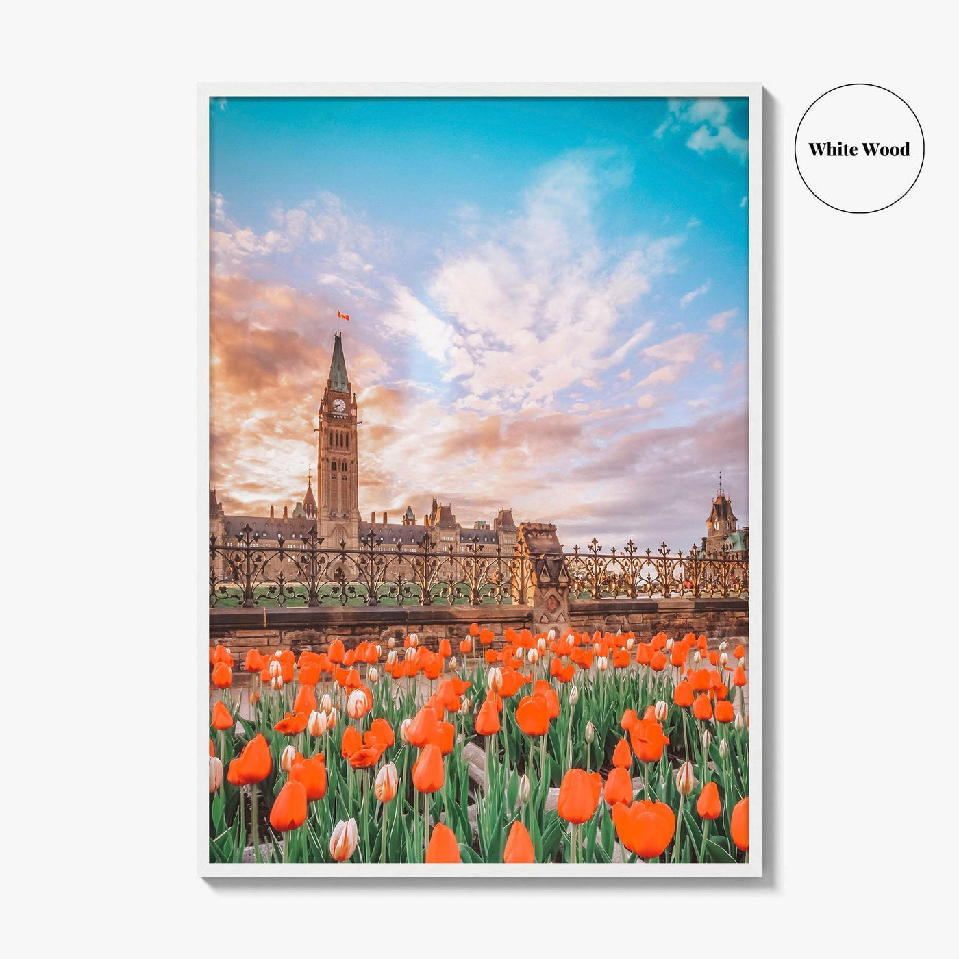 Ottawa Fine Art Photo Print, Parliament Hill, Canada, Ontario, Tulip Festival, Wall Decor