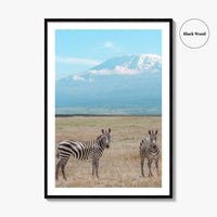 Mount Kilimanjaro Fine Art Photo Print, Zebra, Tanzania Poster, Amboseli National Park