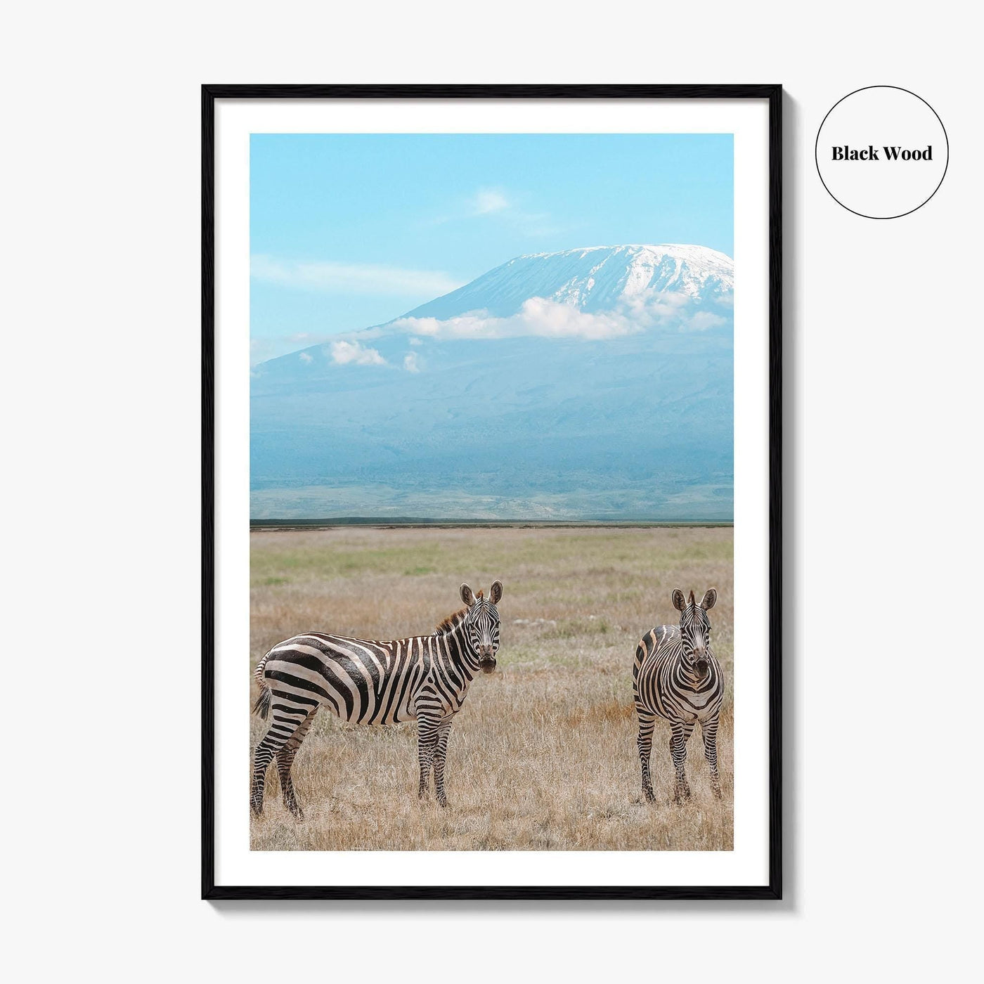Mount Kilimanjaro Fine Art Photo Print, Zebra, Tanzania Poster, Amboseli National Park