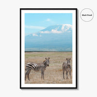 Mount Kilimanjaro Fine Art Photo Print, Zebra, Tanzania Poster, Amboseli National Park