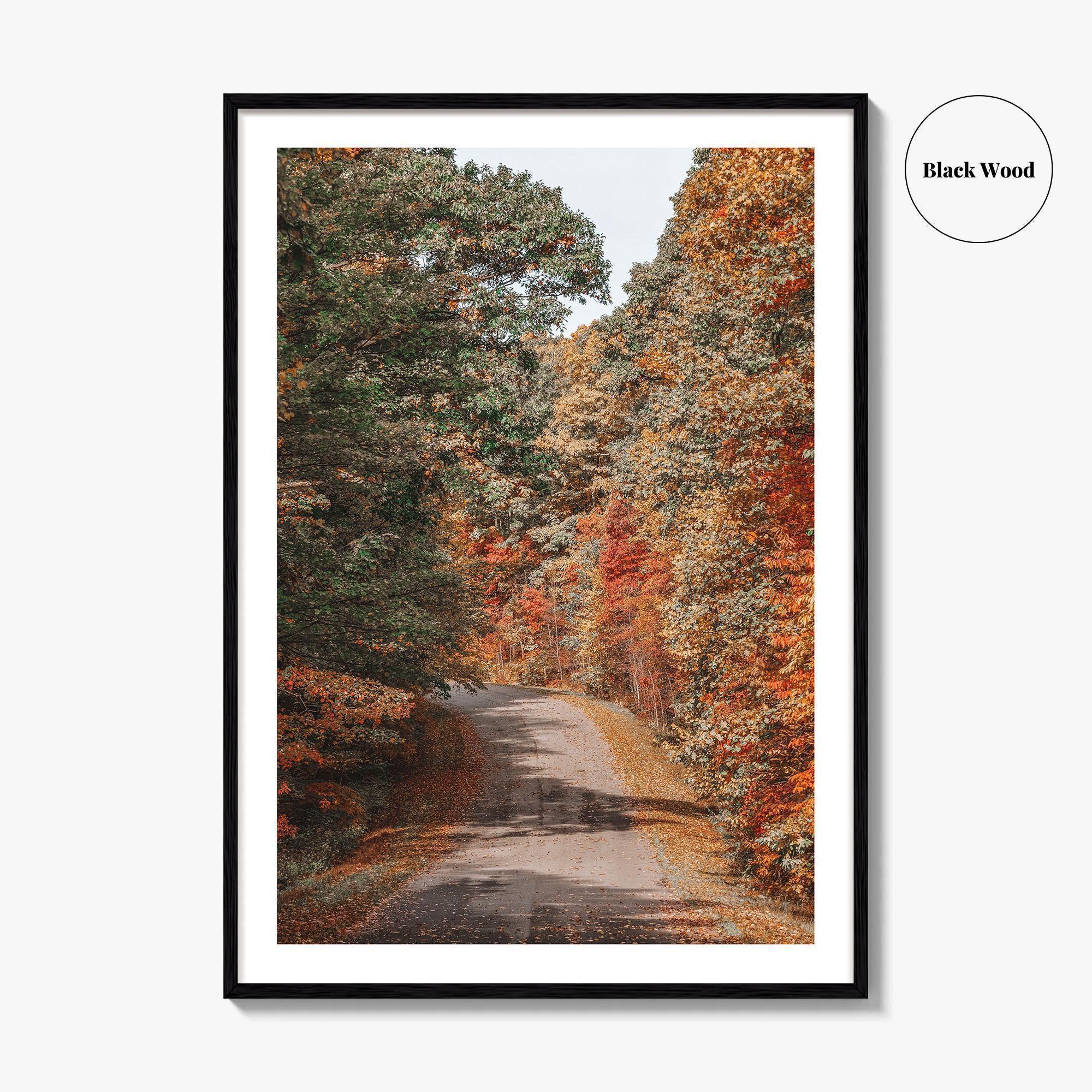 Morgantown Fine Art Photo Print, Coopers Rock State Park, Cheat Lake, WV Poster