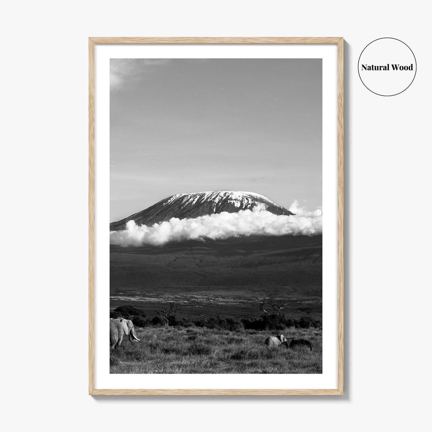 Mount Kilimanjaro Black and White Fine Art Photo Print, Tanzania Elephants Poster, Amboseli Wildlife