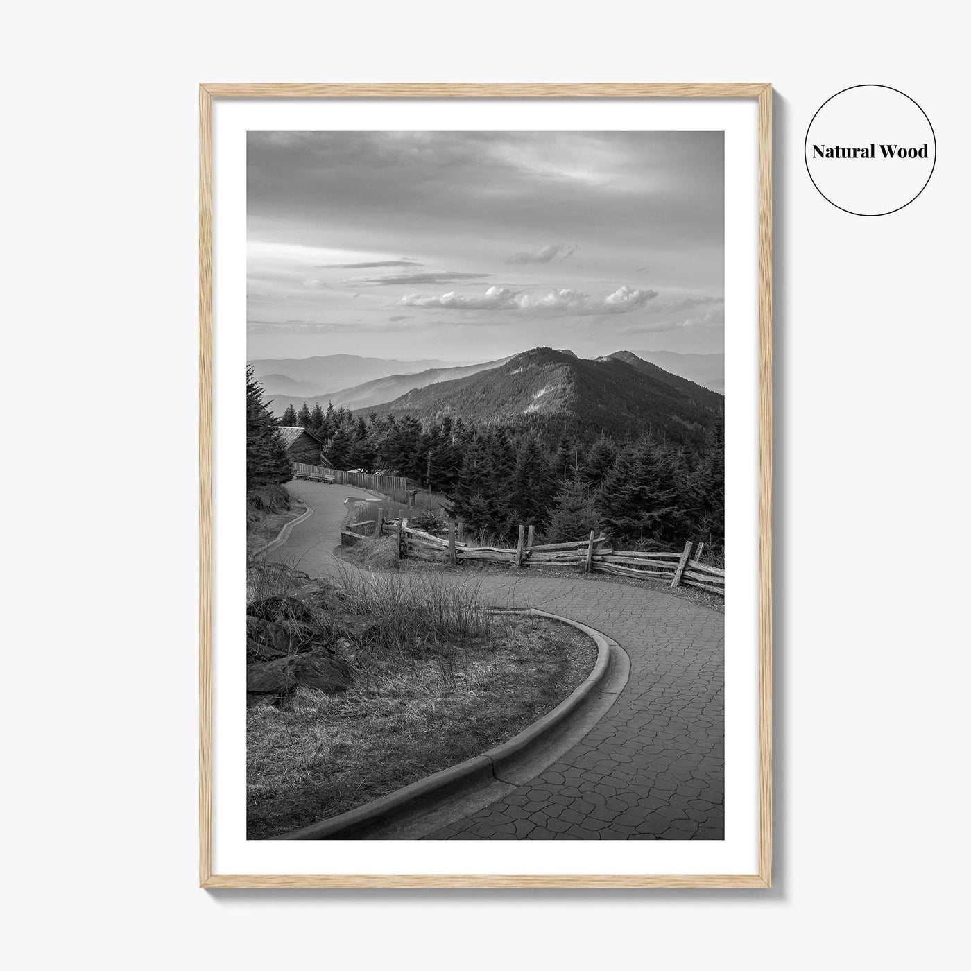 Mount Mitchell Black and White Fine Art Photo Print, Blue Ridge Mountains Poster