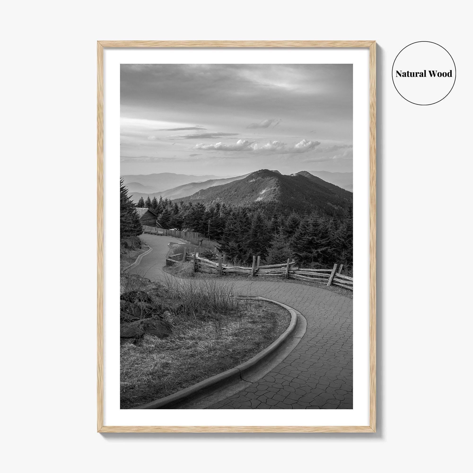 Mount Mitchell Black and White Fine Art Photo Print, Blue Ridge Mountains Poster