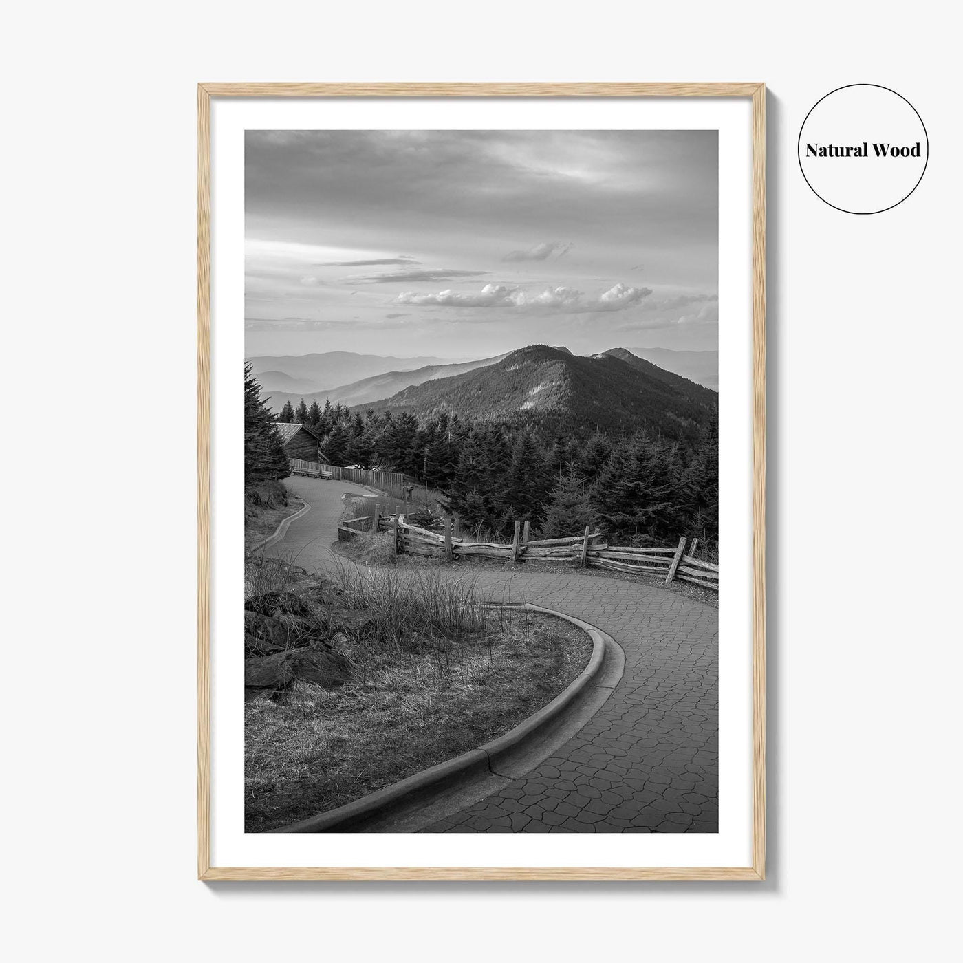 Mount Mitchell Black and White Fine Art Photo Print, Blue Ridge Mountains Poster