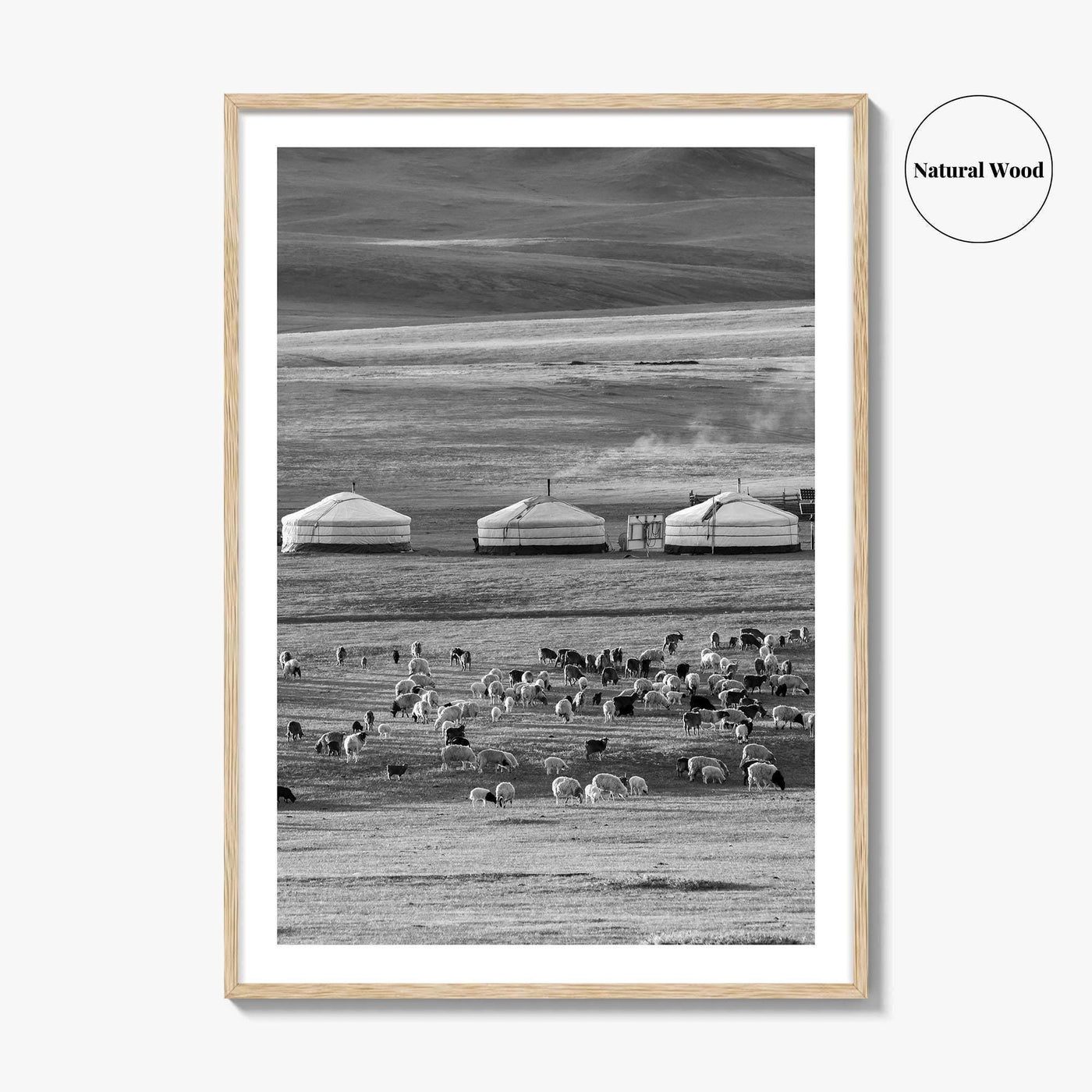 Mongolia Black and White Fine Art Photo Print, Ger Yurt, Goat Herd, Steppe Poster
