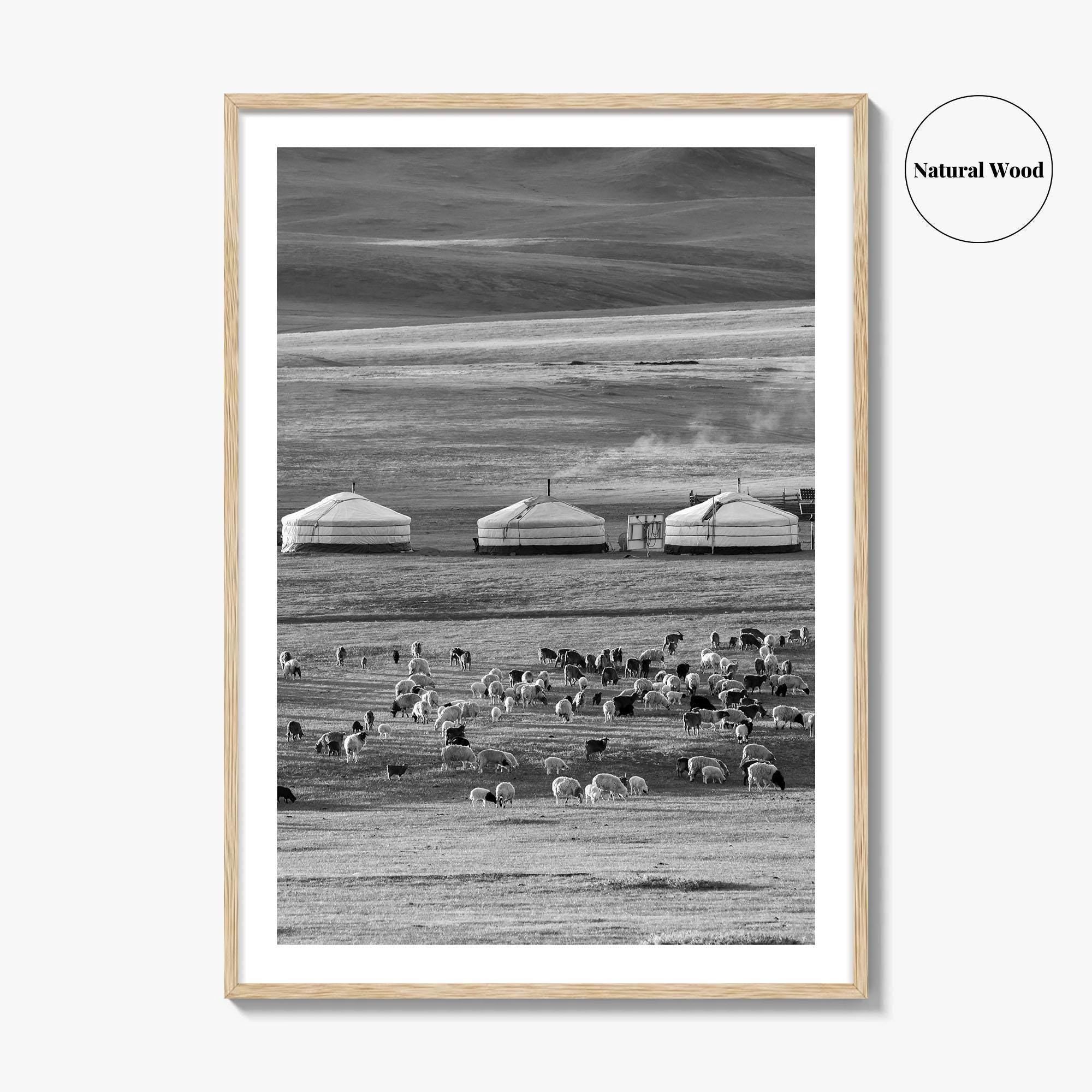 Mongolia Black and White Fine Art Photo Print, Ger Yurt, Goat Herd, Steppe Poster