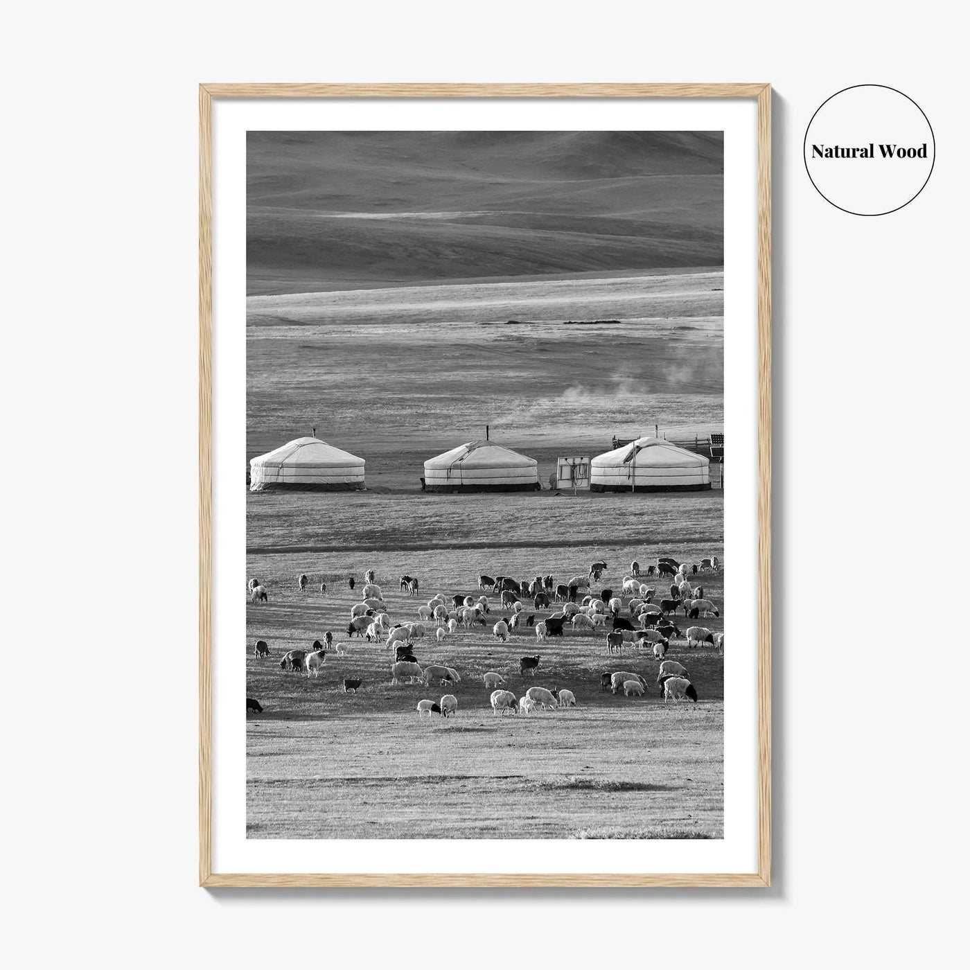 Mongolia Black and White Fine Art Photo Print, Ger Yurt, Goat Herd, Steppe Poster