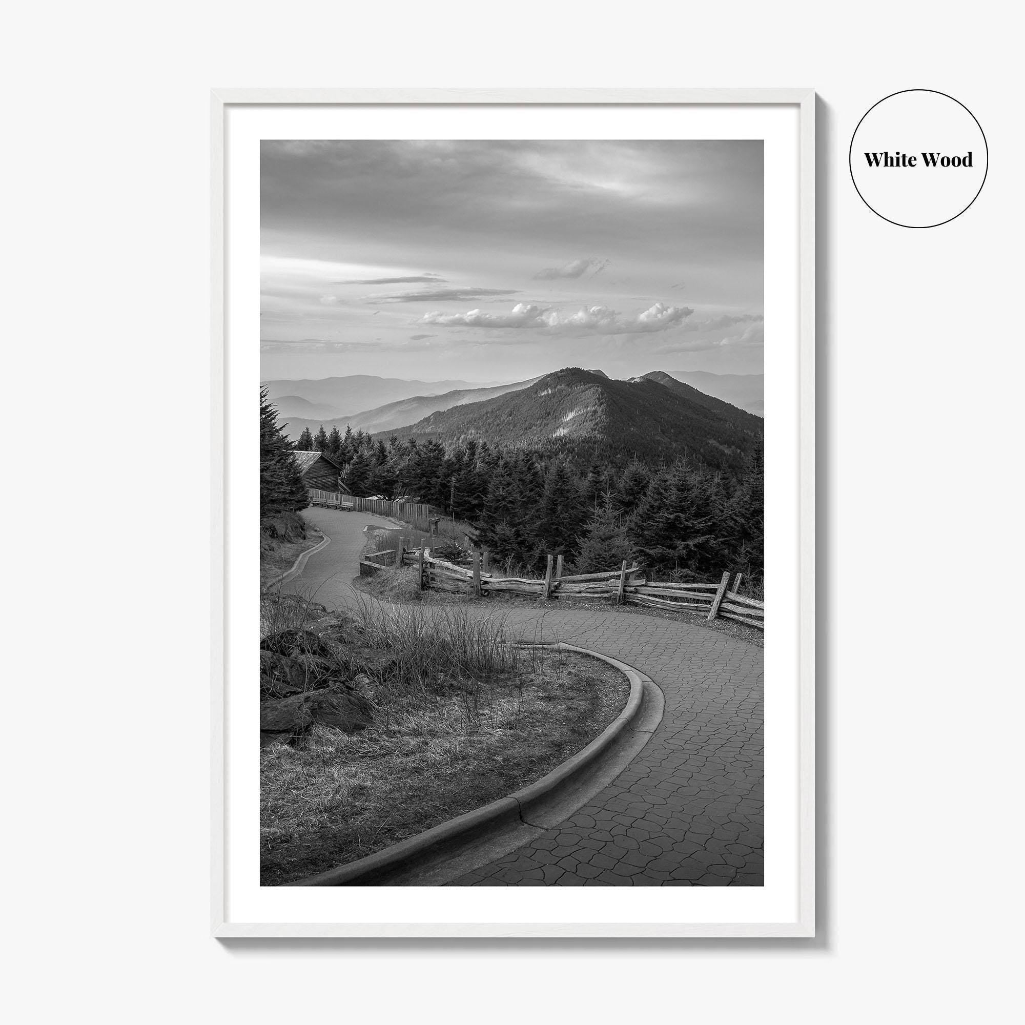 Mount Mitchell Black and White Fine Art Photo Print, Blue Ridge Mountains Poster