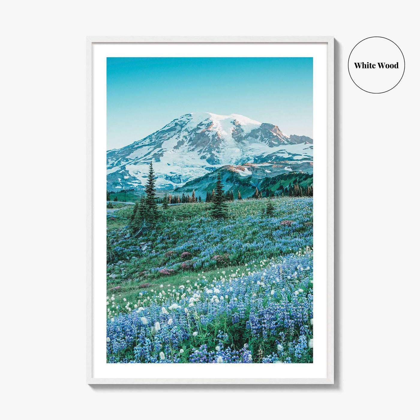 Mount Rainier National Park Fine Art Photo Print, Washington State, Mazama Ridge, Wildflowers