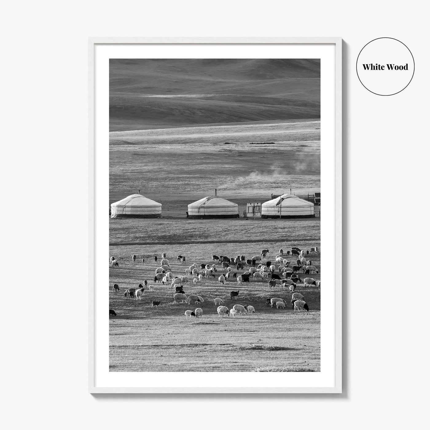 Mongolia Black and White Fine Art Photo Print, Ger Yurt, Goat Herd, Steppe Poster