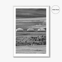 Mongolia Black and White Fine Art Photo Print, Ger Yurt, Goat Herd, Steppe Poster