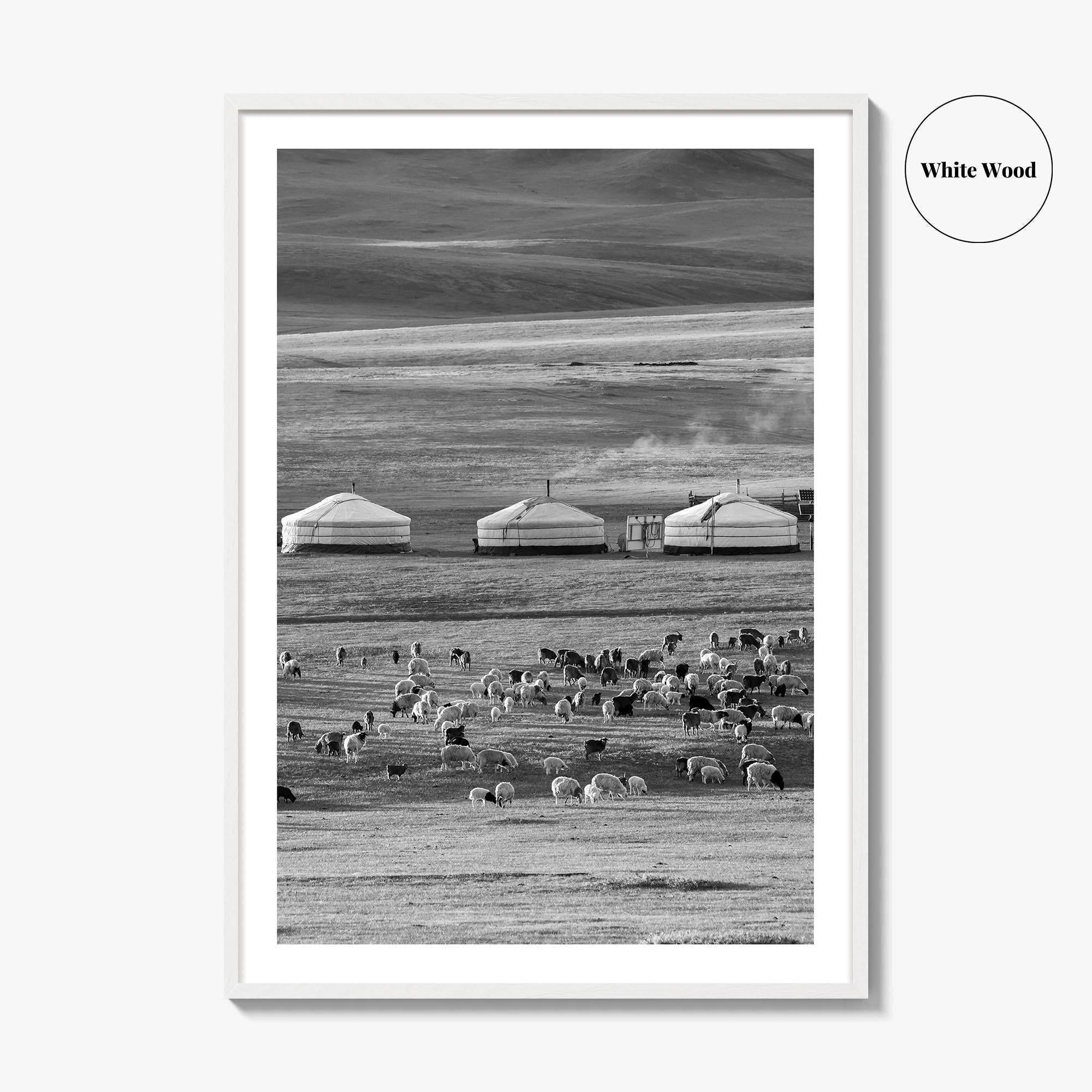 Mongolia Black and White Fine Art Photo Print, Ger Yurt, Goat Herd, Steppe Poster