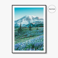 Mount Rainier National Park Fine Art Photo Print, Washington State, Mazama Ridge, Wildflowers