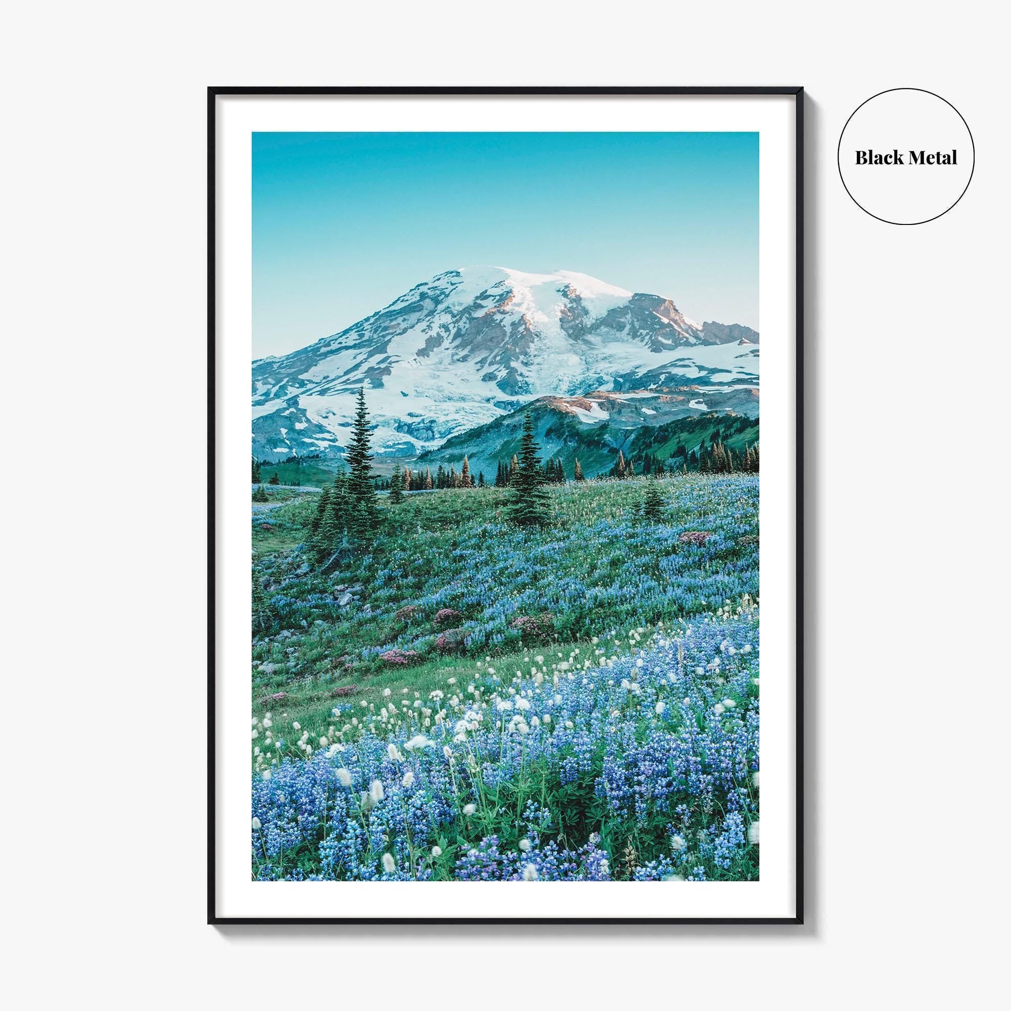 Mount Rainier National Park Fine Art Photo Print, Washington State, Mazama Ridge, Wildflowers