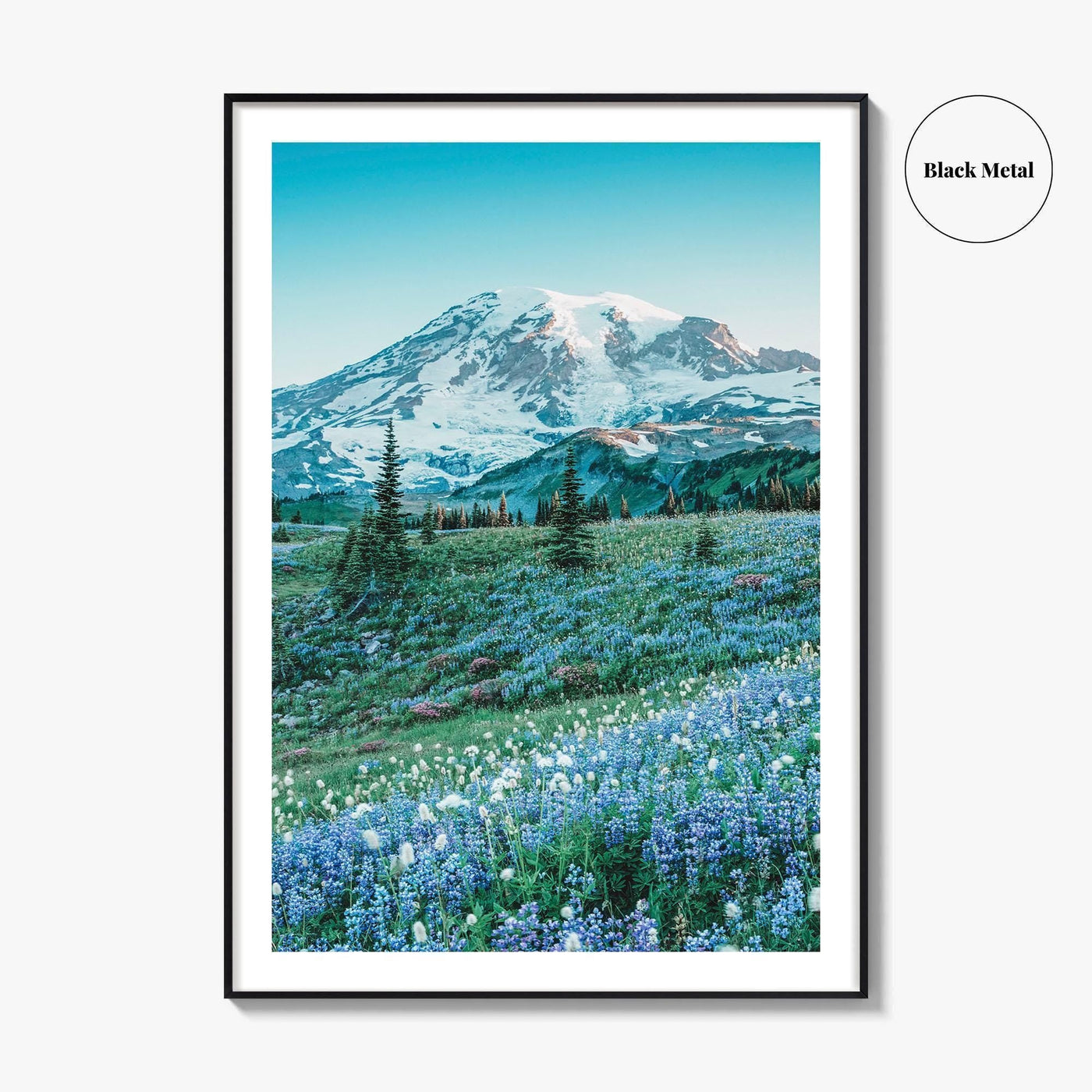 Mount Rainier National Park Fine Art Photo Print, Washington State, Mazama Ridge, Wildflowers