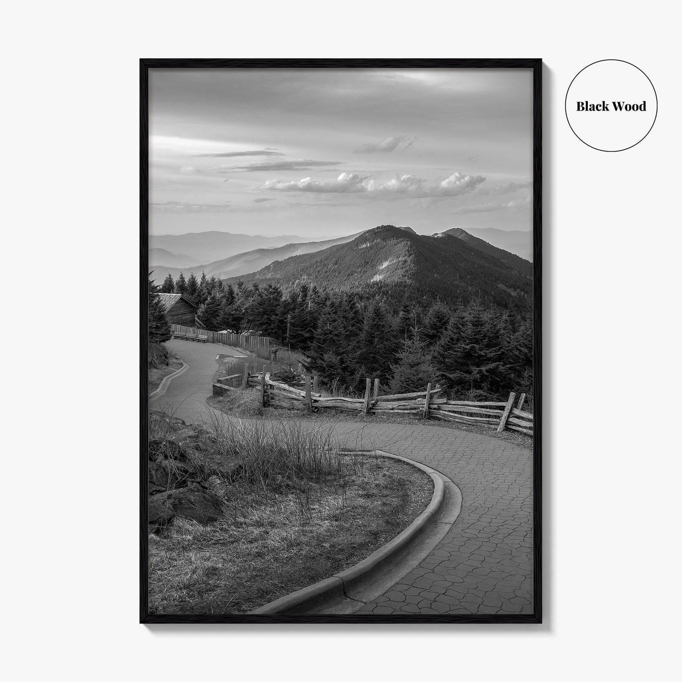 Mount Mitchell Black and White Fine Art Photo Print, Blue Ridge Mountains Poster