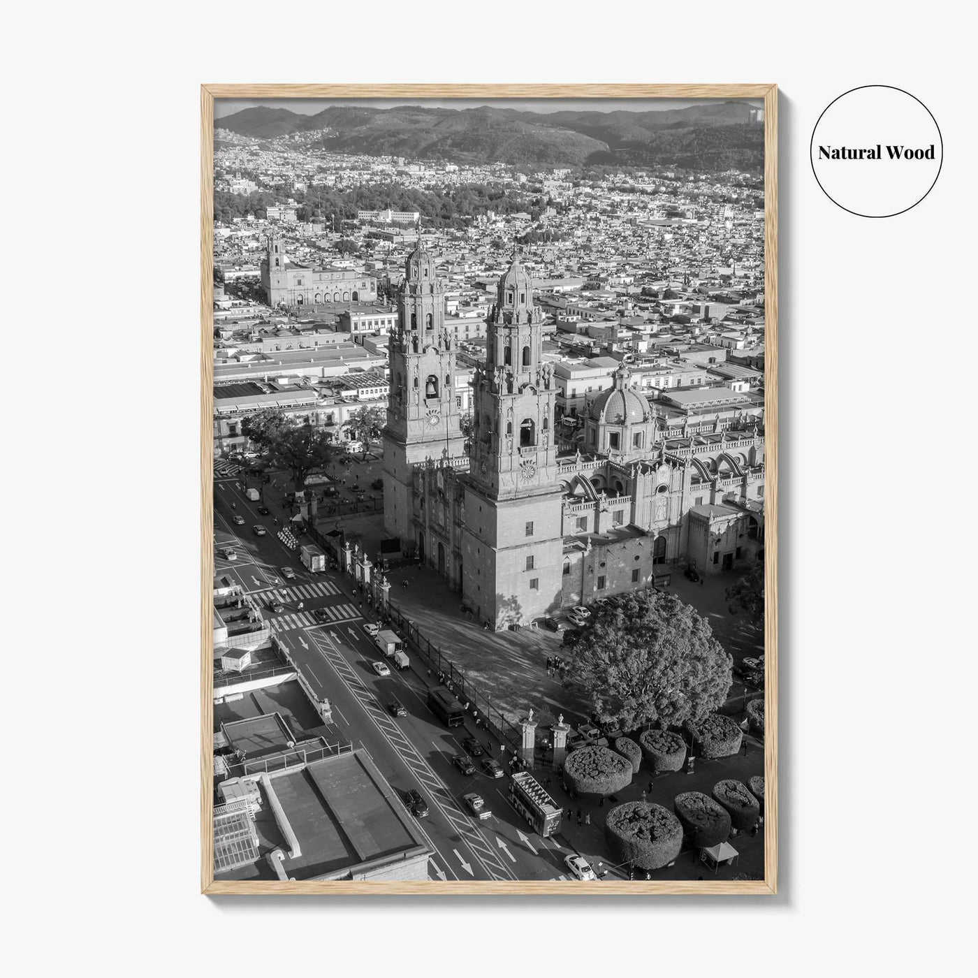 Morelia Black and White Fine Art Photo Print, Cathedral Michoacán Mexico Poster