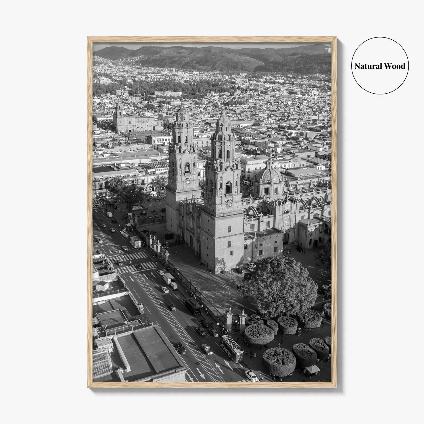Morelia Black and White Fine Art Photo Print, Cathedral Michoacán Mexico Poster