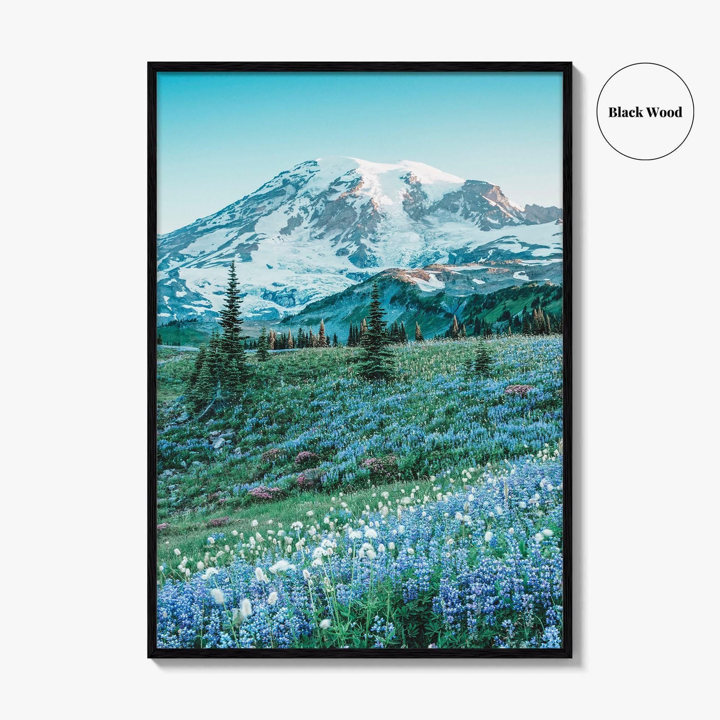 Mount Rainier National Park Fine Art Photo Print, Washington State, Mazama Ridge, Wildflowers