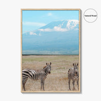 Mount Kilimanjaro Fine Art Photo Print, Zebra, Tanzania Poster, Amboseli National Park