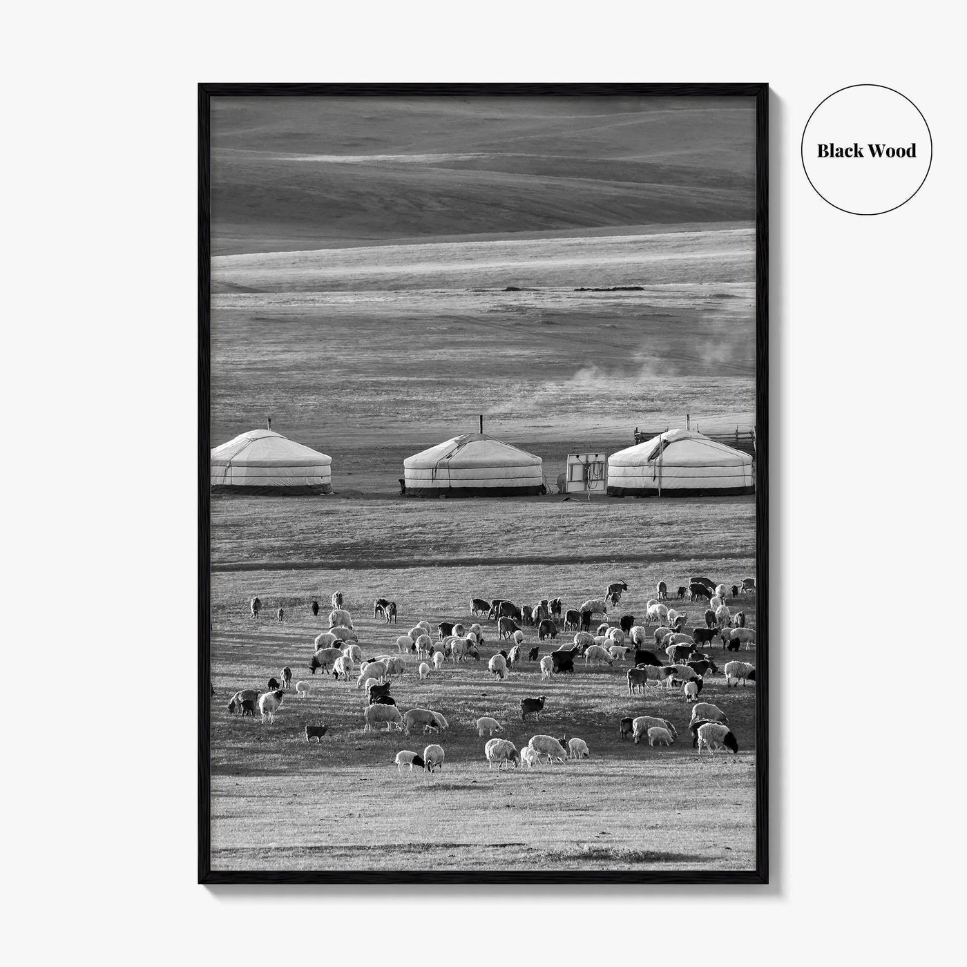 Mongolia Black and White Fine Art Photo Print, Ger Yurt, Goat Herd, Steppe Poster