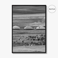Mongolia Black and White Fine Art Photo Print, Ger Yurt, Goat Herd, Steppe Poster