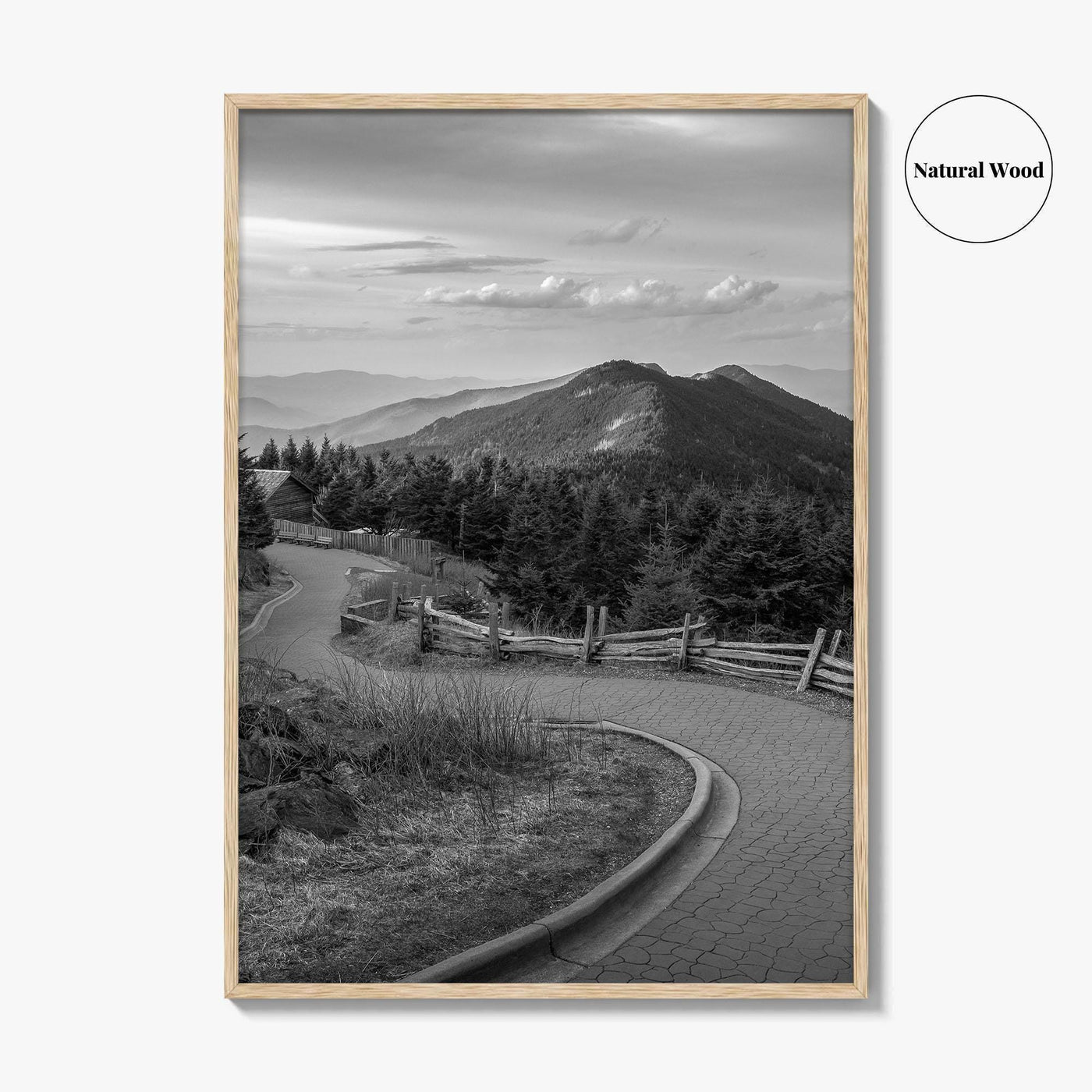 Mount Mitchell Black and White Fine Art Photo Print, Blue Ridge Mountains Poster