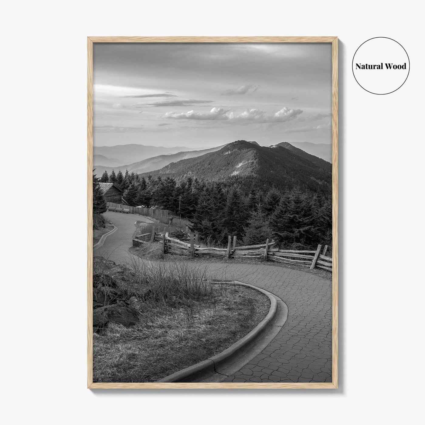 Mount Mitchell Black and White Fine Art Photo Print, Blue Ridge Mountains Poster