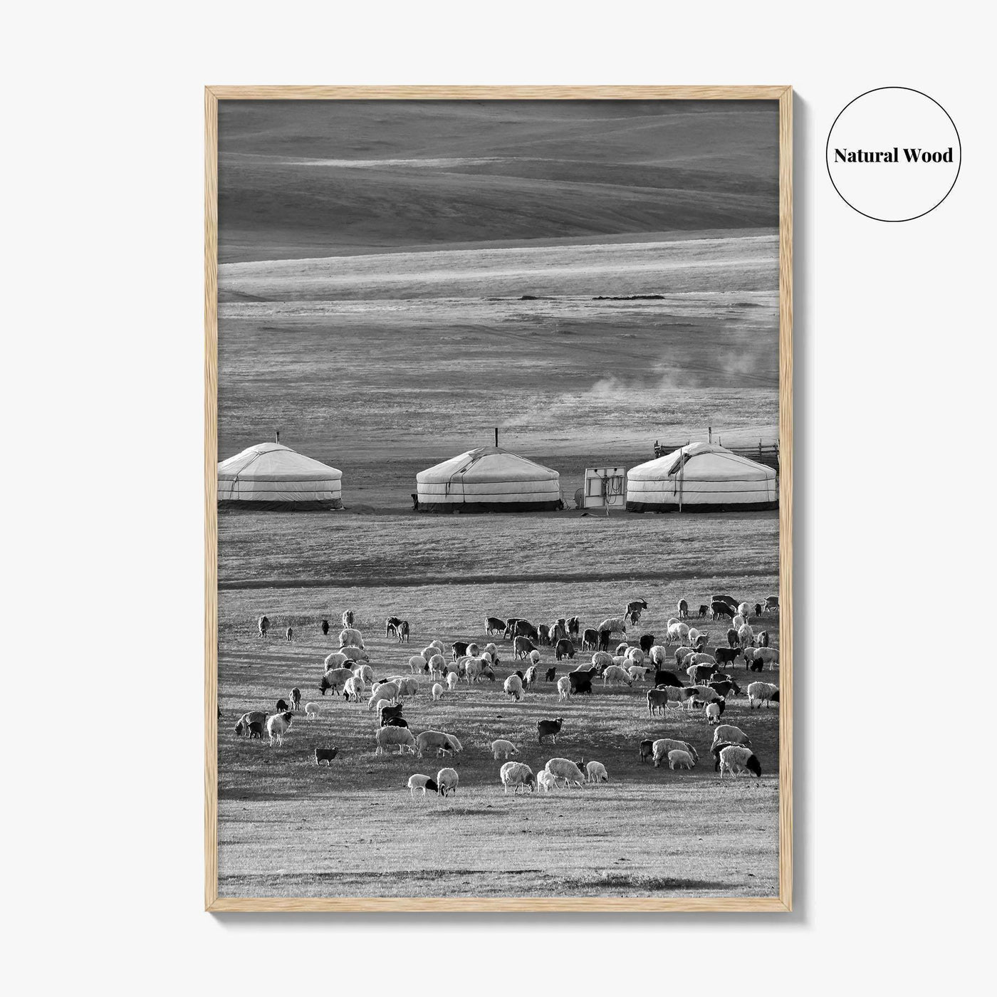 Mongolia Black and White Fine Art Photo Print, Ger Yurt, Goat Herd, Steppe Poster
