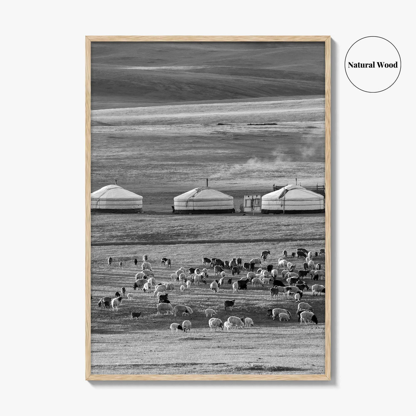 Mongolia Black and White Fine Art Photo Print, Ger Yurt, Goat Herd, Steppe Poster