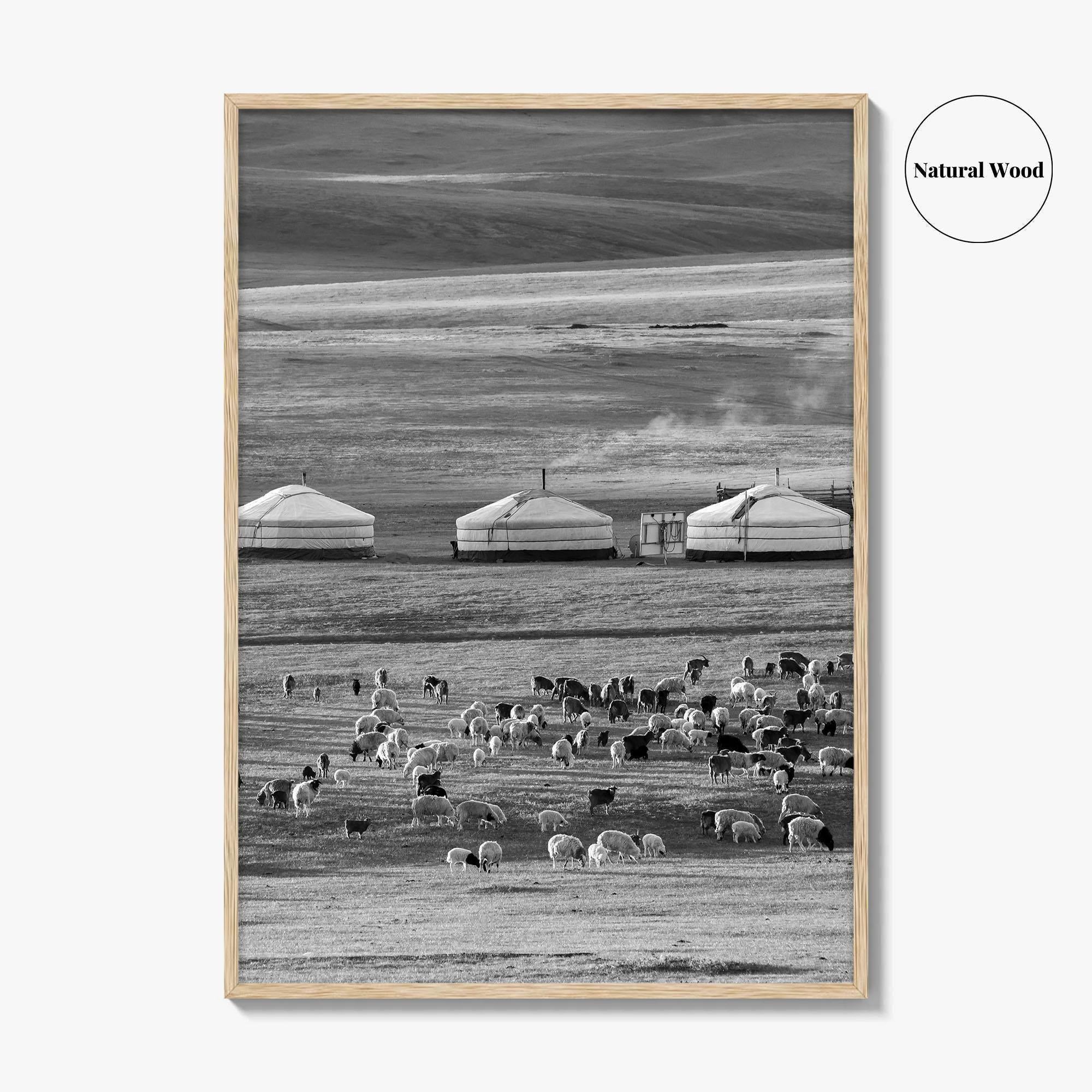 Mongolia Black and White Fine Art Photo Print, Ger Yurt, Goat Herd, Steppe Poster