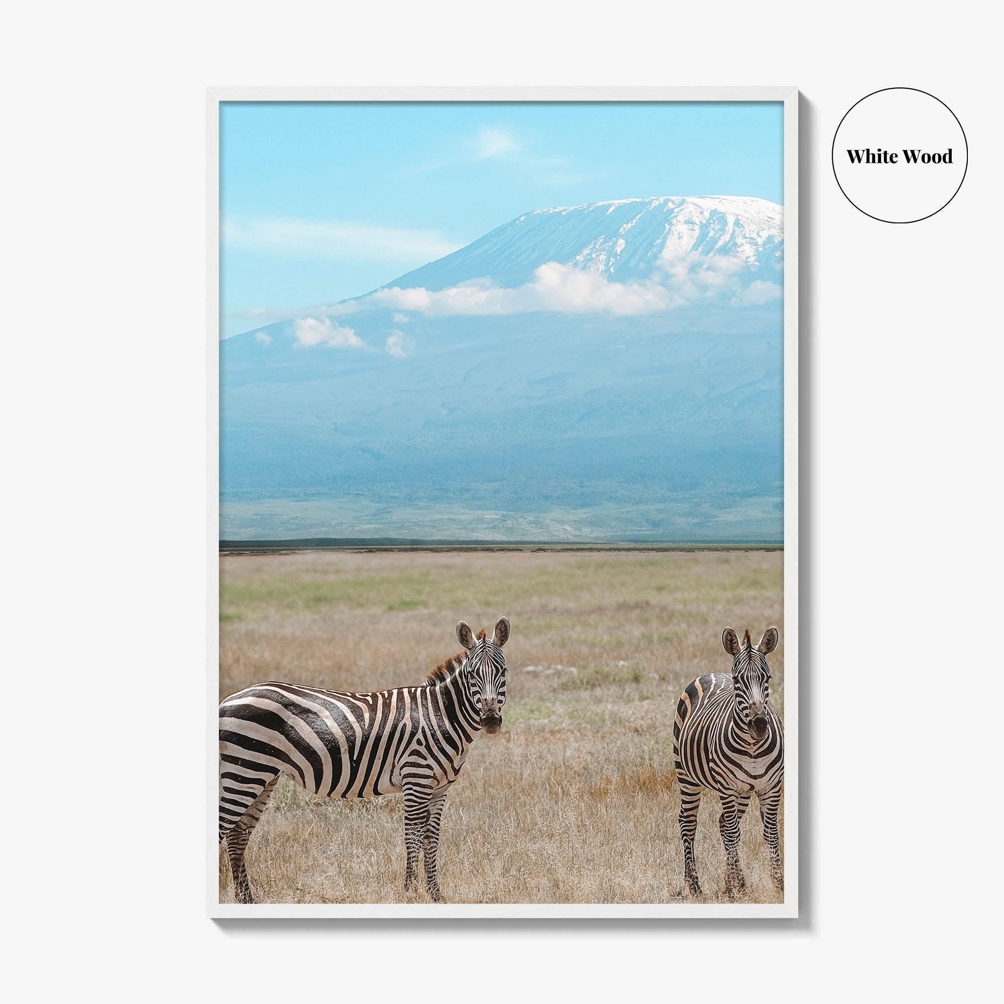 Mount Kilimanjaro Fine Art Photo Print, Zebra, Tanzania Poster, Amboseli National Park