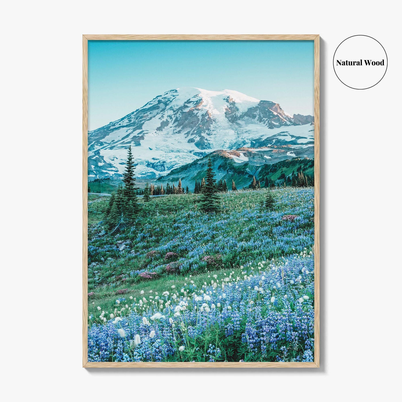 Mount Rainier National Park Fine Art Photo Print, Washington State, Mazama Ridge, Wildflowers