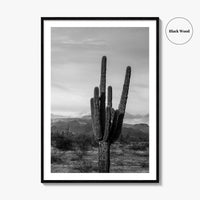 Phoenix Black and White Fine Art Photo Print, Arizona Saguaro Cactus Mountains, USA Poster
