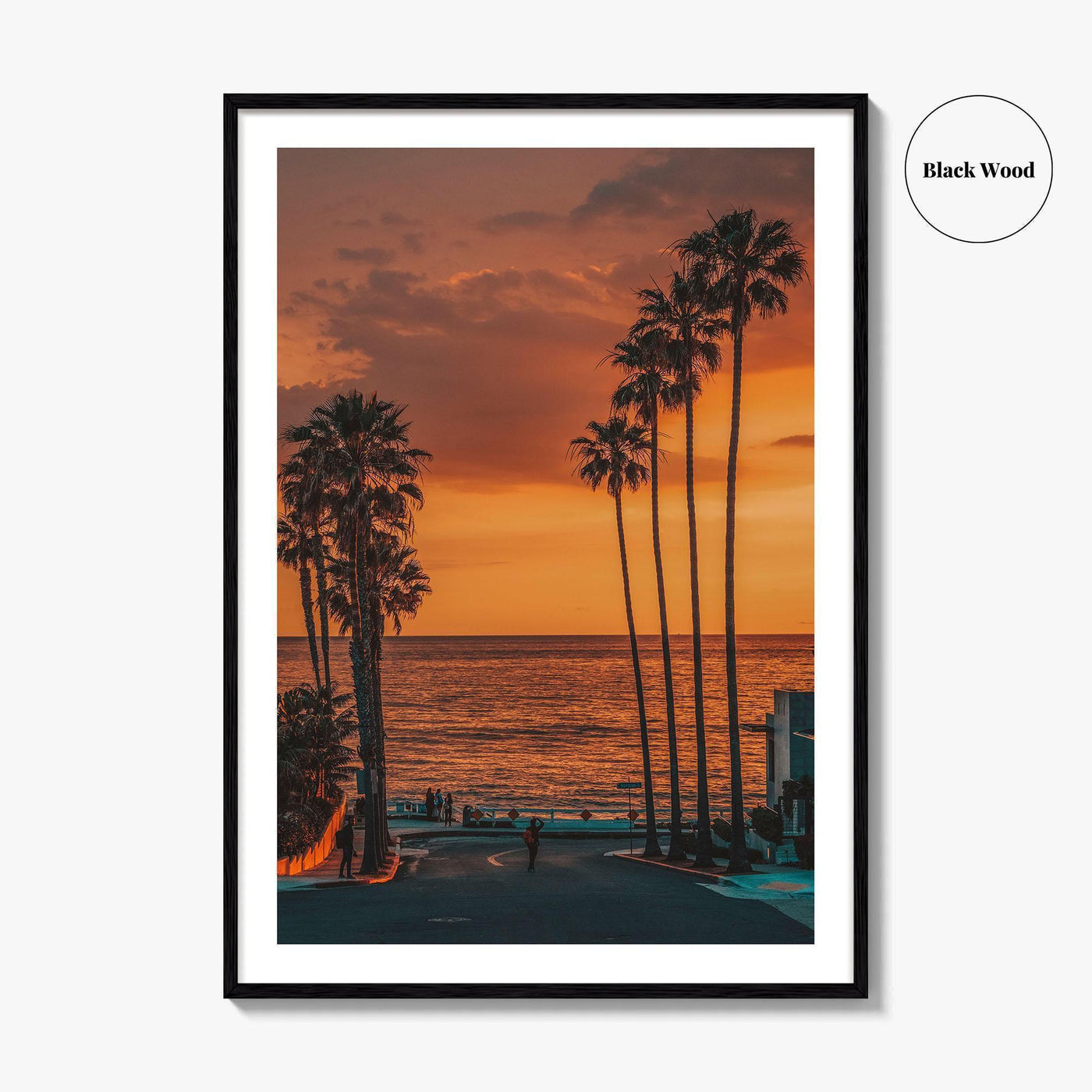 La Jolla Fine Art Photo Print, Windansea Beach, Palm Trees, San Diego California Poster