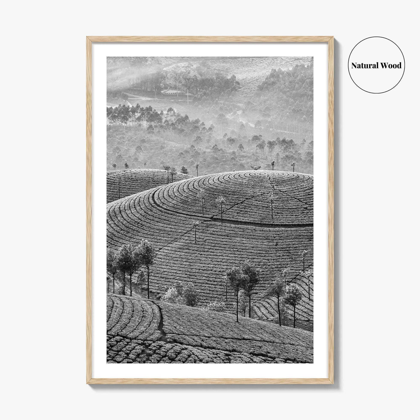 Munnar Black and White Fine Art Photo Print, Kerala India Tea Plantations Wall Poster