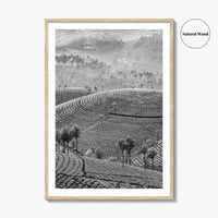 Munnar Black and White Fine Art Photo Print, Kerala India Tea Plantations Wall Poster