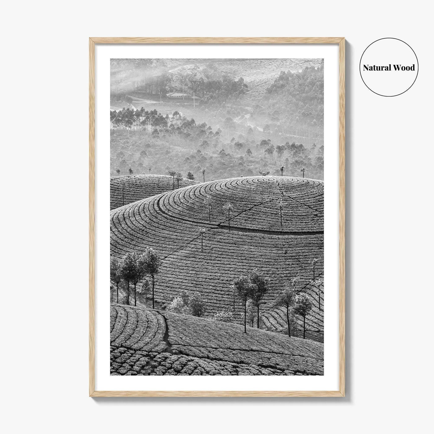 Munnar Black and White Fine Art Photo Print, Kerala India Tea Plantations Wall Poster